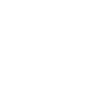 Common Fields